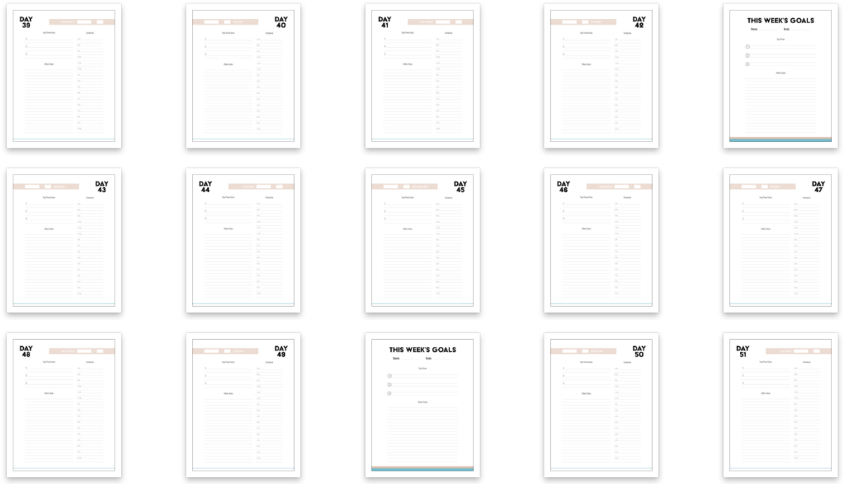 100-day-challenge-contacts-4 100-day-challenge-contacts-4