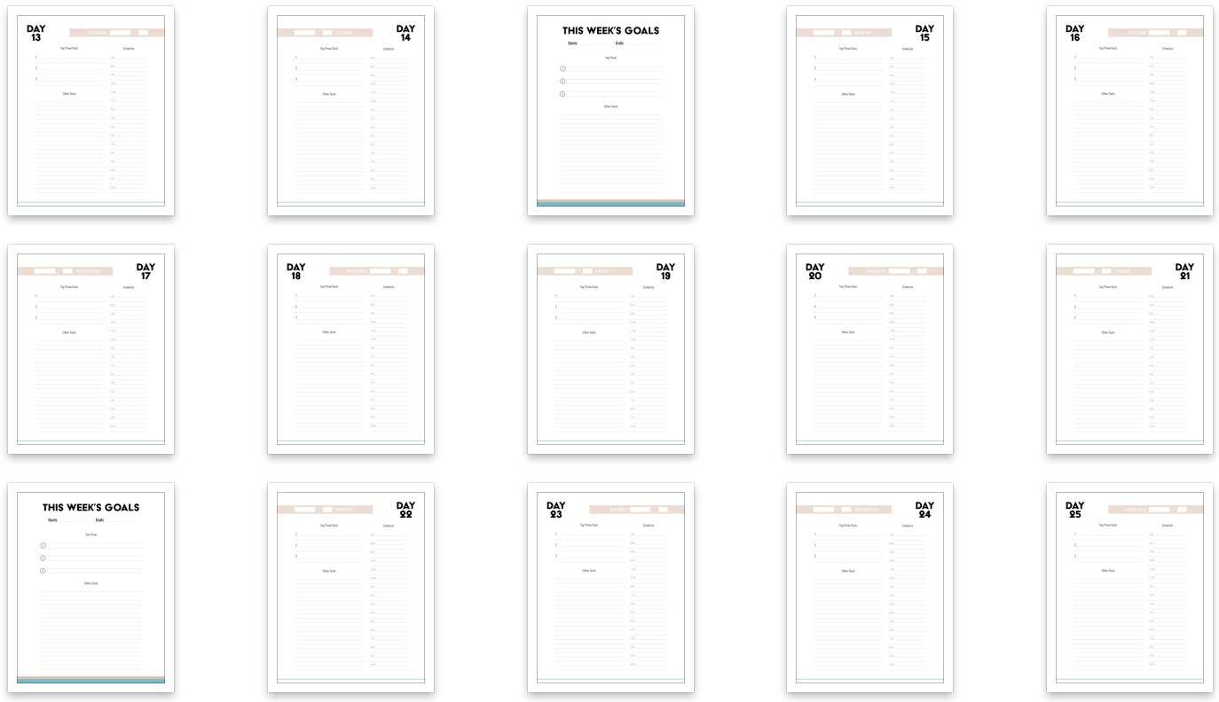 100-day-challenge-contacts-2