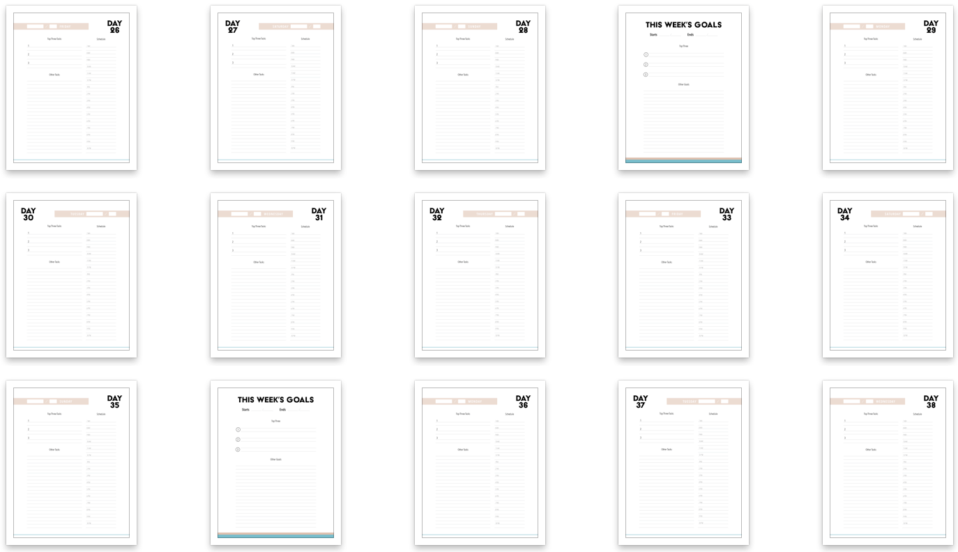 100-day-challenge-contacts-3