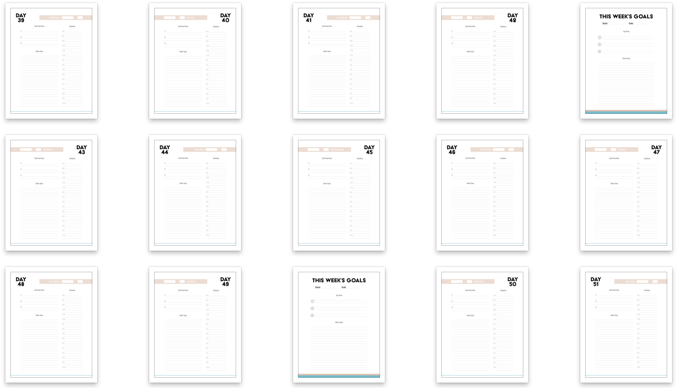 100-day-challenge-contacts-4
