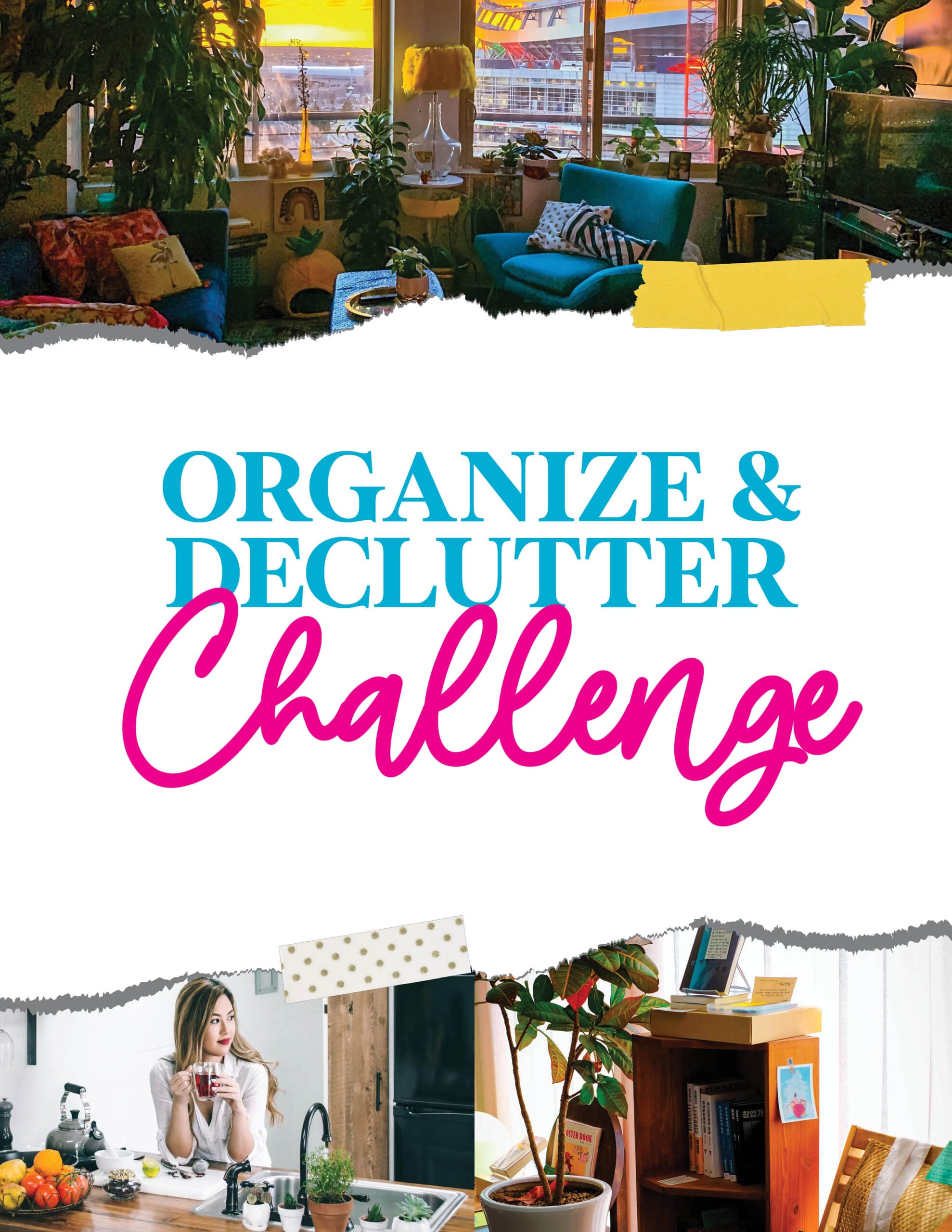 Organize and Declutter Challenge cover